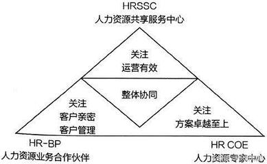 數(shù)字化時(shí)代下人力資源組織系統(tǒng)的演變與人力資源服務(wù)的轉(zhuǎn)型升級(jí)